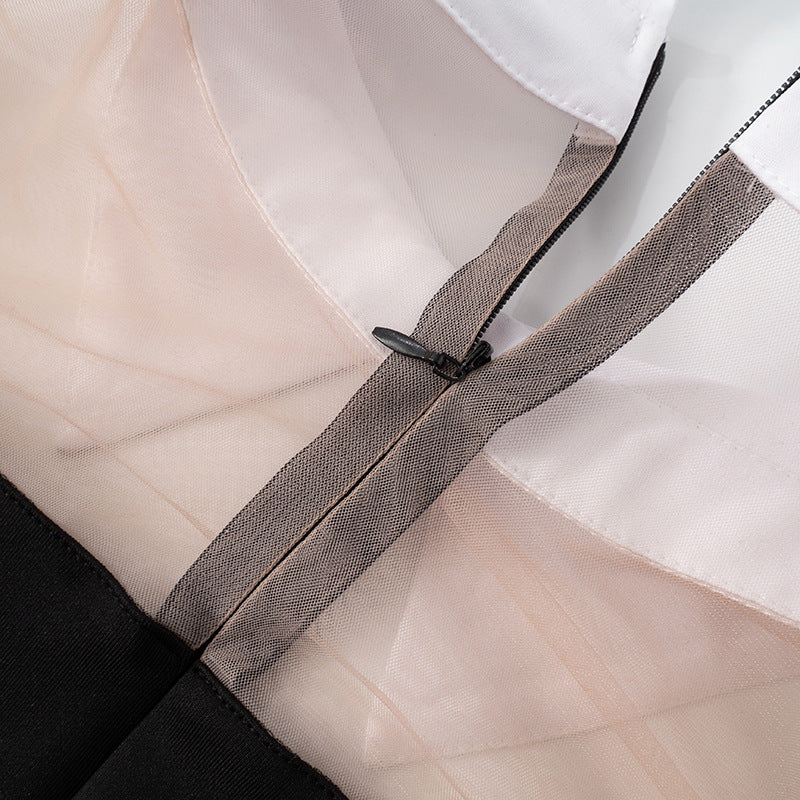 Women’s Spring/Summer Lapel A-Line Dress with Mesh & Zipper