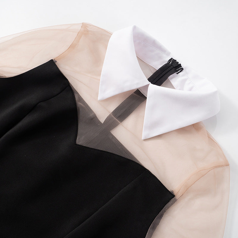 Women’s Spring/Summer Lapel A-Line Dress with Mesh & Zipper