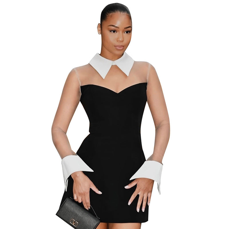 Women’s Spring/Summer Lapel A-Line Dress with Mesh & Zipper